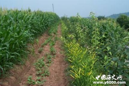 裴保義生平經(jīng)歷簡介裴保義的貢獻(xiàn)成就有哪些？