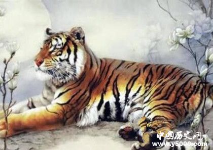 生肖虎簡介生肖虎是怎么來的生肖虎的性格特點