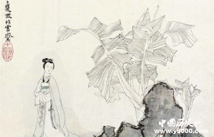 芭蕉的寓意芭蕉象征著什么意義？