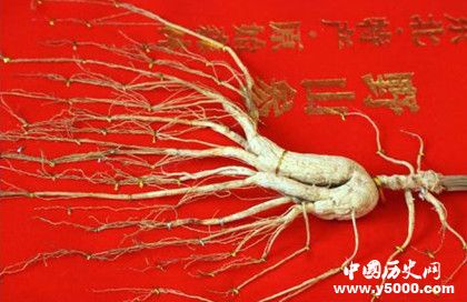 東北三寶是指哪三寶東北新三寶是哪三寶 東北三寶是指哪三寶東北新三寶是哪三寶