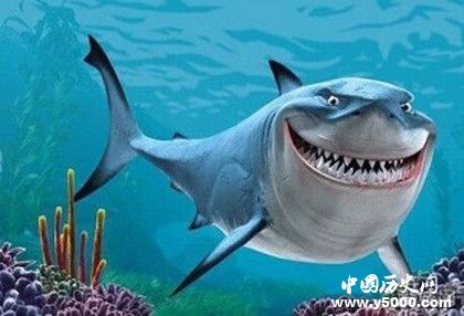 鯊魚抗癌之謎:鯊魚為什么不會(huì)得癌癥 鯊魚抗癌之謎:鯊魚為什么不會(huì)得癌癥