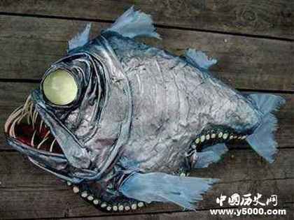 海洋深處有什么生物海洋深處是什么樣子