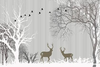 動物可以變性嗎植物能變性嗎什么植物可以變性