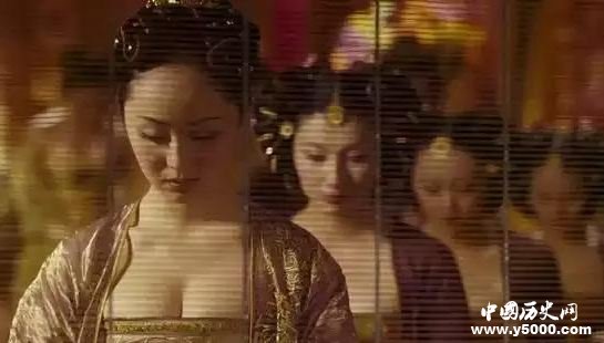 皇帝幼年結(jié)婚啥都不懂怎么辦？