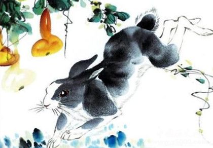 屬兔的人在2019年運(yùn)勢(shì)怎么樣屬兔的人幸運(yùn)物是什么 屬兔的人在2019年運(yùn)勢(shì)怎么樣屬兔的人幸運(yùn)物是什么