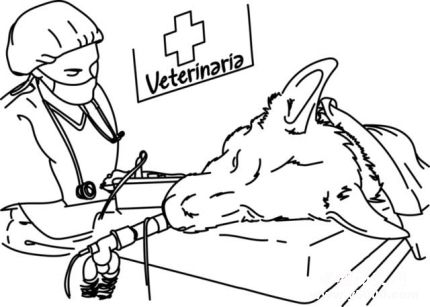 獸醫(yī)學(xué)家高國景生平經(jīng)歷高國景主要論著有哪些？