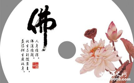 蓮花的寓意和象征蓮花為什么成為佛教的象征？