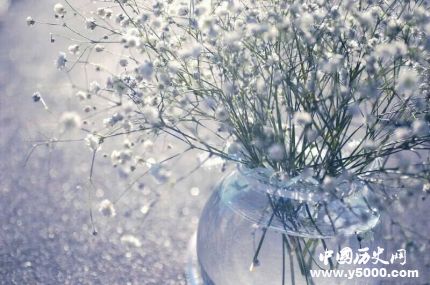 滿天星的花語(yǔ)和寓意滿天星適合送什么人？