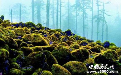 《中國國家地理》雜志簡介雜志歷史發(fā)展過程雜志內(nèi)容介紹 《中國國家地理》雜志簡介雜志歷史發(fā)展過程雜志內(nèi)容介紹