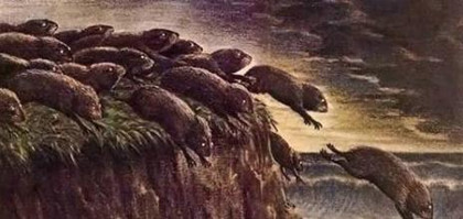 旅鼠集體自殺之謎:旅鼠為什么會投海自殺 旅鼠集體自殺之謎:旅鼠為什么會投海自殺