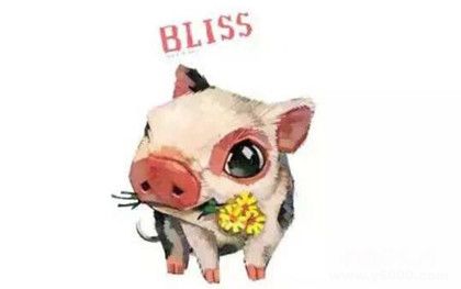 屬豬的人2019年運(yùn)勢怎么樣屬豬的人幸運(yùn)物是什么 屬豬的人2019年運(yùn)勢怎么樣屬豬的人幸運(yùn)物是什么