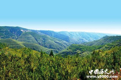 人工造林最多國家人工造林的特點和意義是什么 人工造林最多國家人工造林的特點和意義是什么