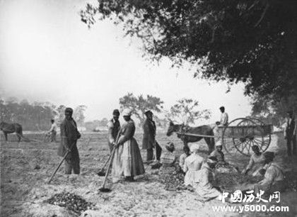 7623e64e56bf33cb48a2258bbc4b768b.jpg 7623e64e56bf33cb48a2258bbc4b768b.jpg