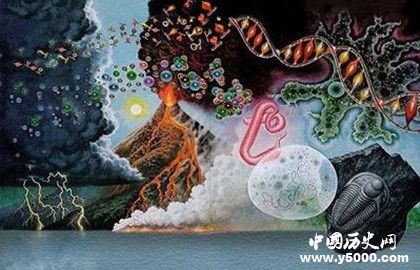 探索人類生命的起源：生命是怎么來的