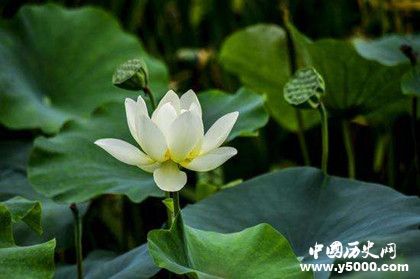 7b3a7fa5f55f79f6e15b9d7e65ec62ad.jpg 7b3a7fa5f55f79f6e15b9d7e65ec62ad.jpg