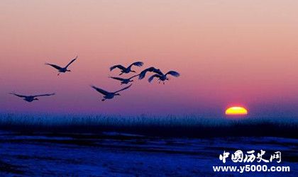 扎龍國家自然保護(hù)區(qū)景點(diǎn)介紹地理位置氣候環(huán)境旅游攻略介紹 扎龍國家自然保護(hù)區(qū)景點(diǎn)介紹地理位置氣候環(huán)境旅游攻略介紹