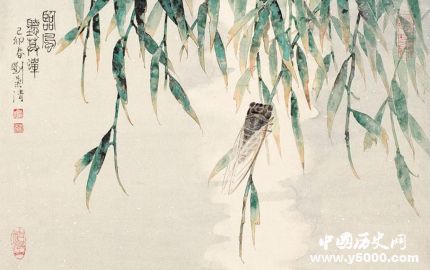 蟬的寓意和象征蟬的一生有什么啟示？