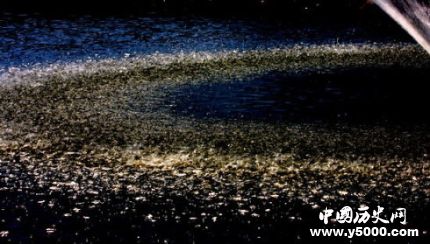 土星環(huán)正在消失的原因土星環(huán)形成原因組成部分簡(jiǎn)介