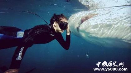 挪威海底公墓資料介紹 挪威海底公墓未解之謎