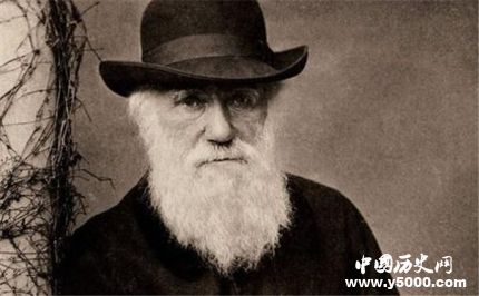 亨利·詹姆斯生平故事簡介亨利·詹姆斯的作品有哪些？