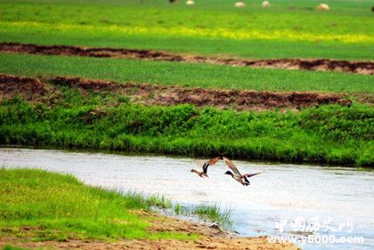 內(nèi)蒙古高原怎么形成的海拔多高自然環(huán)境怎么樣 內(nèi)蒙古高原怎么形成的海拔多高自然環(huán)境怎么樣