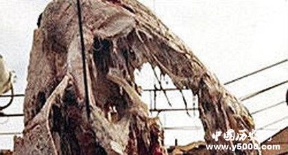 太平洋怪獸之謎:太平洋怪獸到底是什么 太平洋怪獸之謎:太平洋怪獸到底是什么