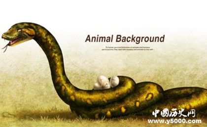 生肖蛇簡介生肖蛇是怎么來的屬蛇的人有哪些性格特點(diǎn)