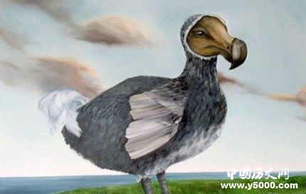 珊瑚裸尾鼠已滅絕全球十大滅絕的動物有哪些？