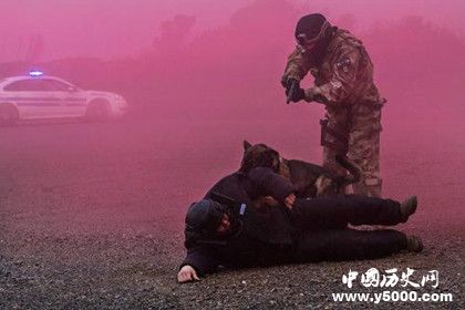 a772f536f62d2c05c2ab68ddb45c2aa4.jpg a772f536f62d2c05c2ab68ddb45c2aa4.jpg