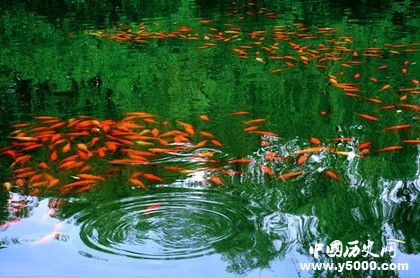 西湖十景是哪十景西湖十景好玩嗎