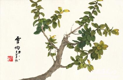 杜荀鶴著名代表作介紹杜荀鶴詩(shī)歌作品特點(diǎn)介紹