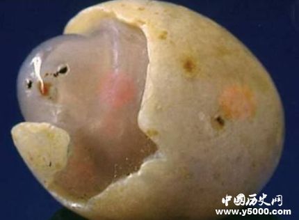 中國四大奇石簡介中國四大奇石是哪四種？