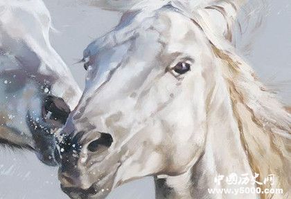 屬馬的人2019年運(yùn)勢(shì)怎么樣屬馬的幸運(yùn)物是什么