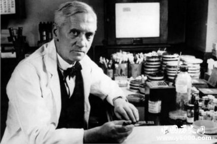 弗萊明生平故事簡介弗萊明是怎樣發(fā)現(xiàn)青霉素的？