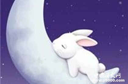 生肖兔簡介生肖兔是怎么來的生肖兔性格特點介紹