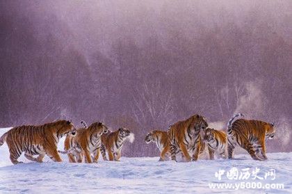 黑龍江簡介黑龍江歷史發(fā)展過程介紹黑龍江氣候環(huán)境介紹 黑龍江簡介黑龍江歷史發(fā)展過程介紹黑龍江氣候環(huán)境介紹