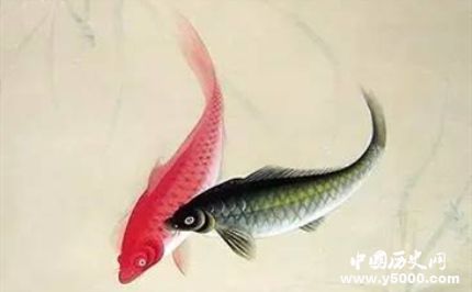 雙鯉的寓意和象征有關(guān)雙鯉的詩詞有哪些？