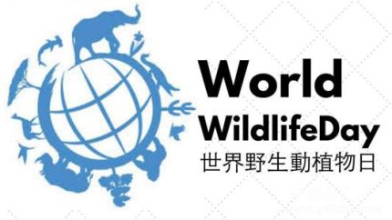 世界野生動植物日簡介世界野生動植物日主題活動有哪些？