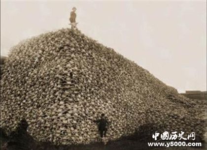 老鼠烏托邦實驗是什么老鼠烏托邦實驗過程實驗結(jié)果 老鼠烏托邦實驗是什么老鼠烏托邦實驗過程實驗結(jié)果