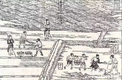 唐朝租庸調(diào)制簡介租庸調(diào)制的內(nèi)容和作用租庸調(diào)制評價怎么樣？