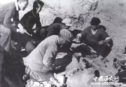 裴文中個(gè)人簡(jiǎn)介裴文中的經(jīng)歷裴文中的成就有哪些？