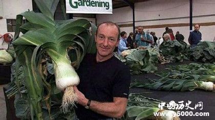 巨菜谷在什么地方巨菜谷有什么不一樣的地方嗎