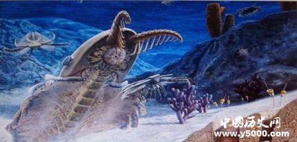 宜昌現(xiàn)清江生物群寒武紀(jì)生命大爆發(fā)的原因是什么？