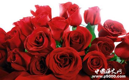 紅色為什么代表喜慶的顏色紅色的含義和象征