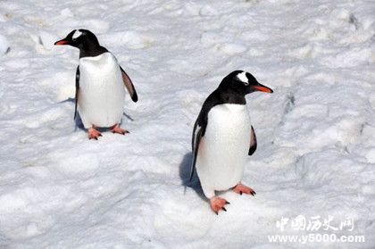 dbb1be57323c59086e29b392cd12381d.jpg dbb1be57323c59086e29b392cd12381d.jpg