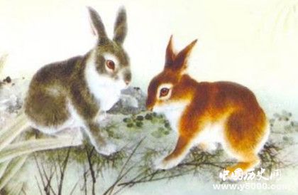 屬兔的人在2019年運(yùn)勢(shì)怎么樣屬兔的人幸運(yùn)物是什么 屬兔的人在2019年運(yùn)勢(shì)怎么樣屬兔的人幸運(yùn)物是什么