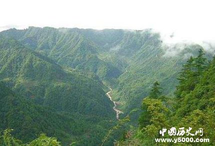 世界森林日資料簡(jiǎn)介世界森林日活動(dòng)主題有哪些？