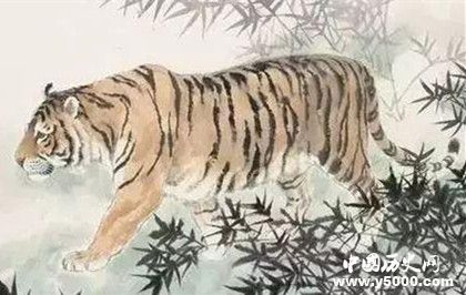 生肖虎簡介生肖虎是怎么來的生肖虎的性格特點