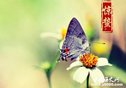 驚蟄是什么意思驚蟄節(jié)氣適合吃什么？
