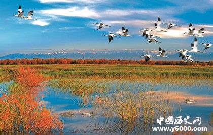 黑河市簡介黑河市地理位置氣候環(huán)境介紹旅游景點(diǎn)旅游攻略